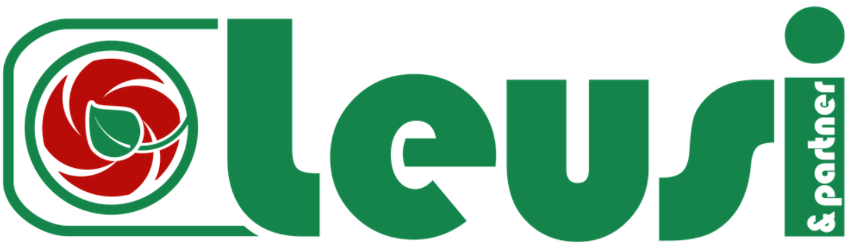 Leusi & Partner GmbH